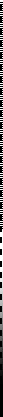 orgsex com